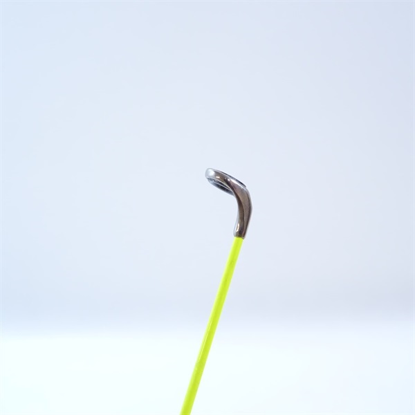 ２１アオリスタ５００